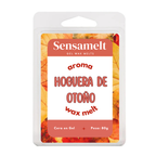 Fogueira de Outono - Gel wax melt