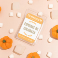 Especiarias de Abóbora - Gel wax melt