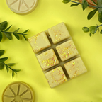COCO & CÍTRICOS - Wax melts