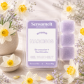 Narcisos – Gel wax melt